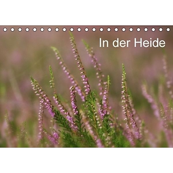 In der Heide (Tischkalender 2016 DIN A5 quer), Sandra Malz