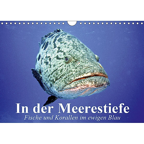 In der Meerestiefe. Fische und Korallen im ewigen Blau (Wandkalender 2019 DIN A4 quer), Elisabeth Stanzer