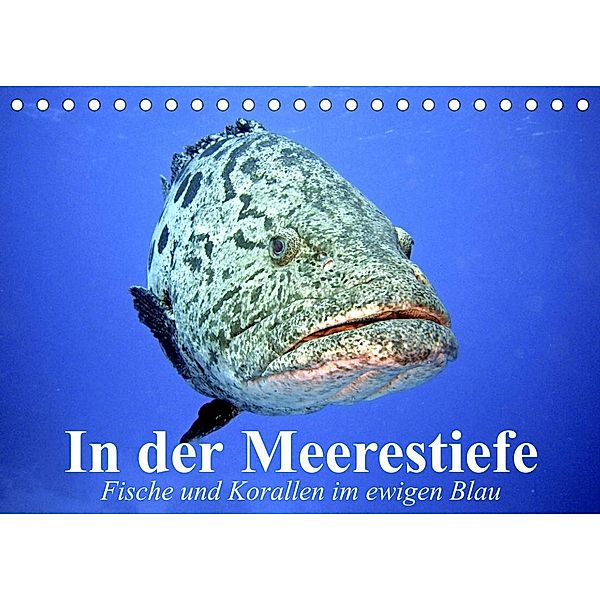 In der Meerestiefe. Fische und Korallen im ewigen Blau (Tischkalender 2023 DIN A5 quer), Elisabeth Stanzer