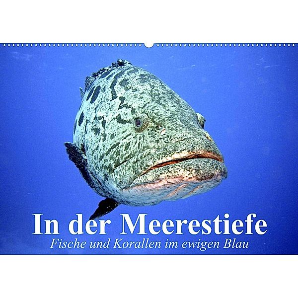 In der Meerestiefe. Fische und Korallen im ewigen Blau (Wandkalender 2023 DIN A2 quer), Elisabeth Stanzer