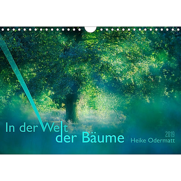 In der Welt der Bäume (Wandkalender 2019 DIN A4 quer), Heike Odermatt