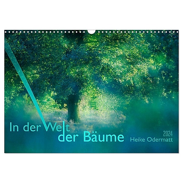 In der Welt der Bäume (Wandkalender 2024 DIN A3 quer), CALVENDO Monatskalender, Heike Odermatt