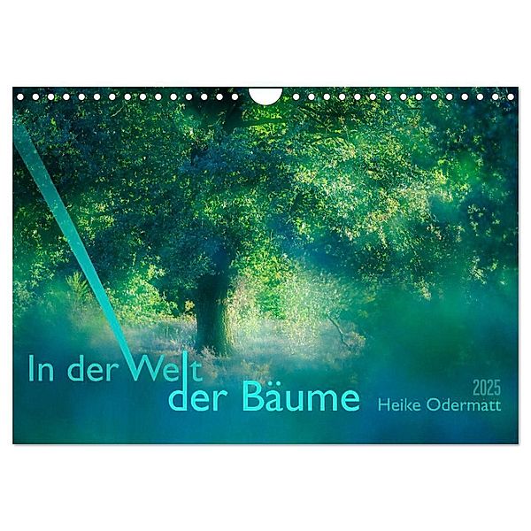 In der Welt der Bäume (Wandkalender 2025 DIN A4 quer), CALVENDO Monatskalender, Calvendo, Heike Odermatt