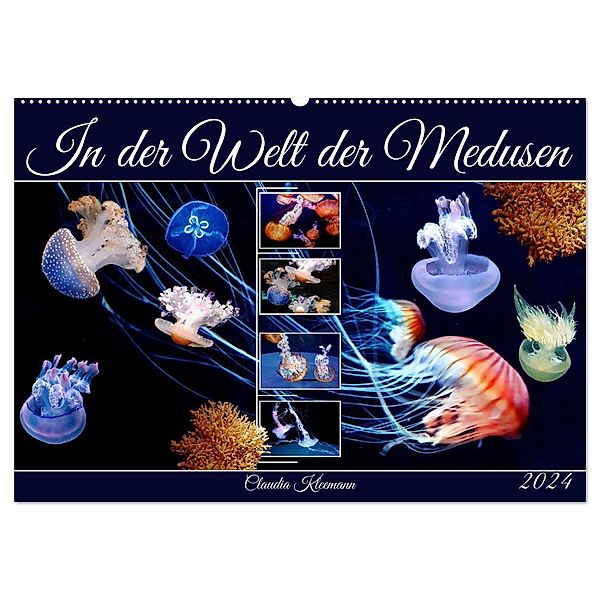 In der Welt der Medusen (Wandkalender 2024 DIN A2 quer), CALVENDO Monatskalender, Claudia Kleemann