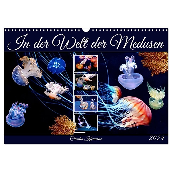 In der Welt der Medusen (Wandkalender 2024 DIN A3 quer), CALVENDO Monatskalender, Claudia Kleemann