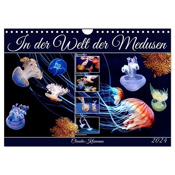 In der Welt der Medusen (Wandkalender 2024 DIN A4 quer), CALVENDO Monatskalender, Claudia Kleemann