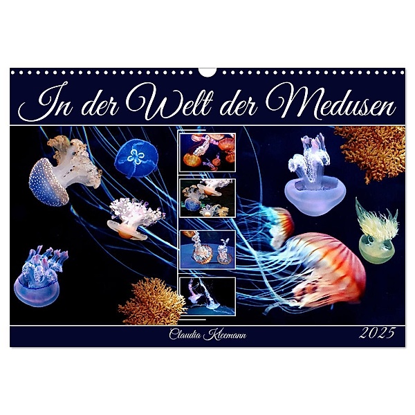 In der Welt der Medusen (Wandkalender 2025 DIN A3 quer), CALVENDO Monatskalender, Calvendo, Claudia Kleemann