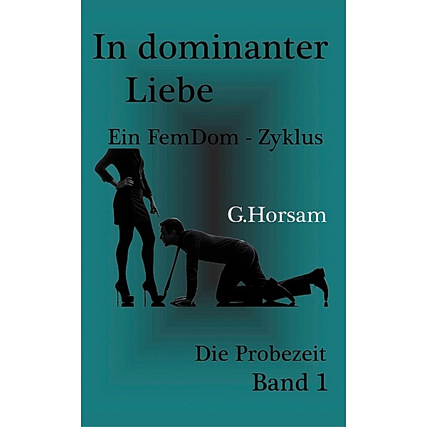 In dominanter Liebe - Band 1: Die Probezeit / In dominanter Liebe Bd.1, G. Horsam