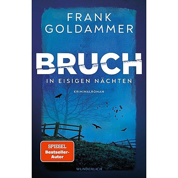 In eisigen Nächten / Felix Bruch Bd.2, Frank Goldammer