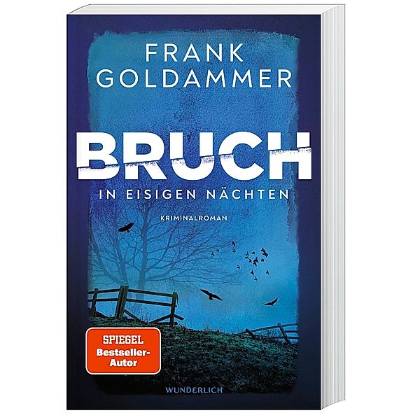 In eisigen Nächten / Felix Bruch Bd.2, Frank Goldammer