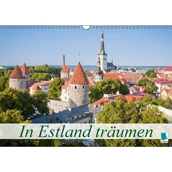 In Estland träumen (Wandkalender 2015 DIN A3 quer), Calvendo