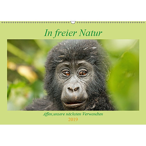 In freier Natur Affen, unsere nächsten Verwandten (Wandkalender 2019 DIN A2 quer), Britta Kärcher