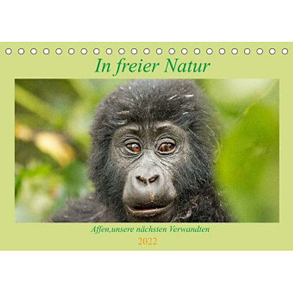 In freier Natur Affen, unsere nächsten Verwandten (Tischkalender 2022 DIN A5 quer), Britta Kärcher