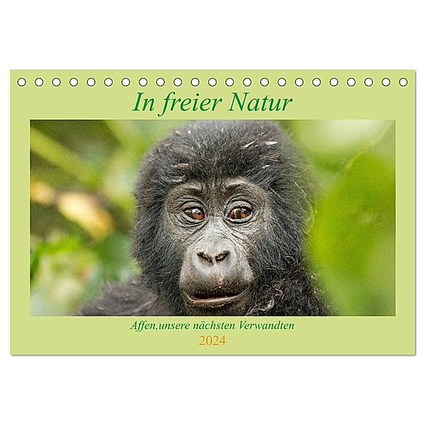 In freier Natur Affen, unsere nächsten Verwandten (Tischkalender 2024 DIN A5 quer), CALVENDO Monatskalender, Britta Kärcher