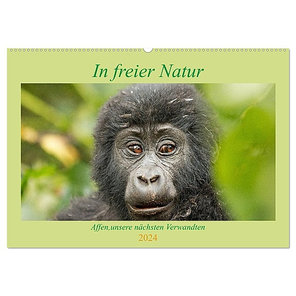 In freier Natur Affen, unsere nächsten Verwandten (Wandkalender 2024 DIN A2 quer), CALVENDO Monatskalender, Britta Kärcher