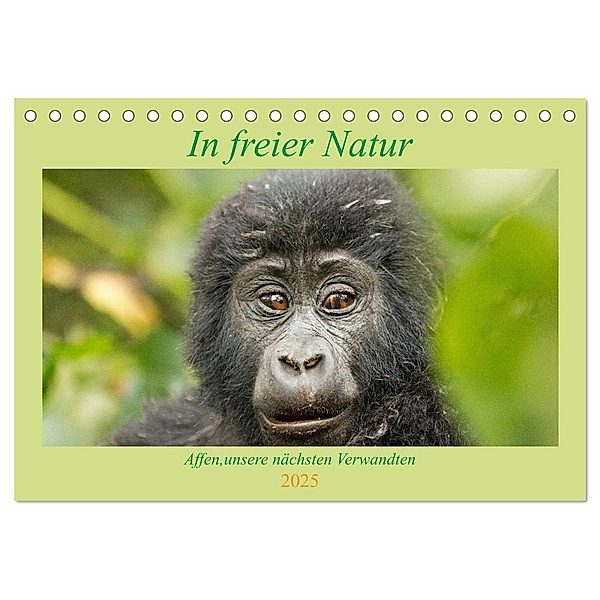 In freier Natur Affen, unsere nächsten Verwandten (Tischkalender 2025 DIN A5 quer), CALVENDO Monatskalender, Calvendo, Britta Kärcher