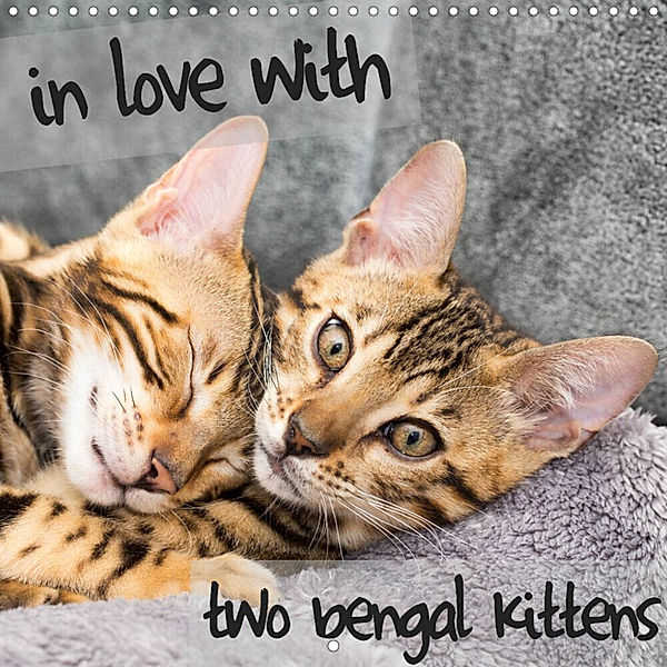 in love with 2 bengal kittens (Wall Calendar 2023 300 × 300 mm Square), Samashy