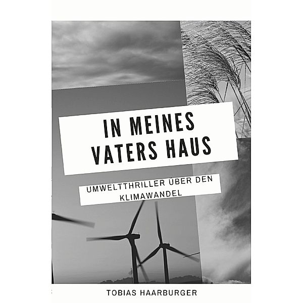 In meines Vaters Haus, Tobias Haarburger