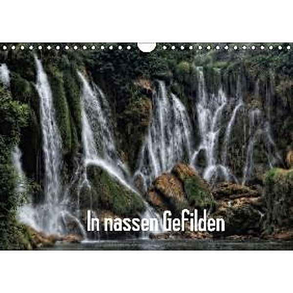 In nassen Gefilden (Wandkalender 2015 DIN A4 quer), René Dolibois