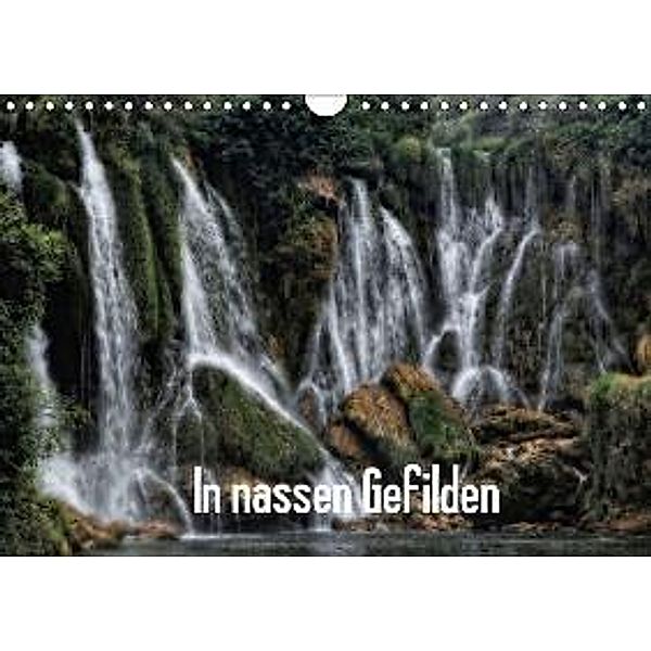 In nassen Gefilden (Wandkalender 2016 DIN A4 quer), René Dolibois