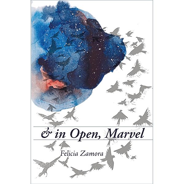 & in Open, Marvel / Free Verse Editions, Felicia Zamora