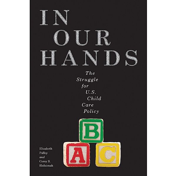 In Our Hands / Families, Law, and Society Bd.8, Elizabeth Palley, Corey S. Shdaimah