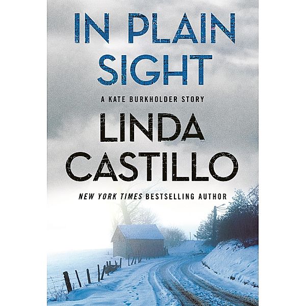 In Plain Sight / Minotaur Books, Linda Castillo