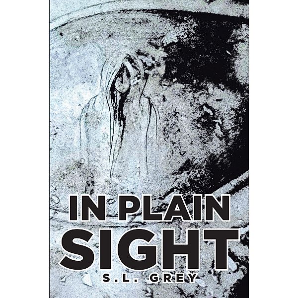 In Plain Sight / Page Publishing, Inc., S. L. Grey