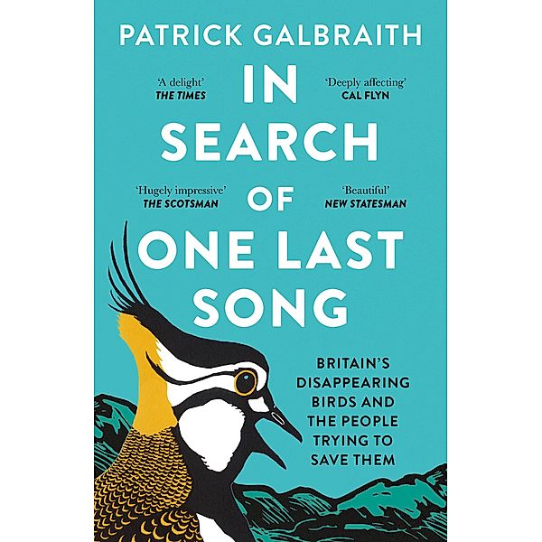 In Search of One Last Song, Patrick Galbraith