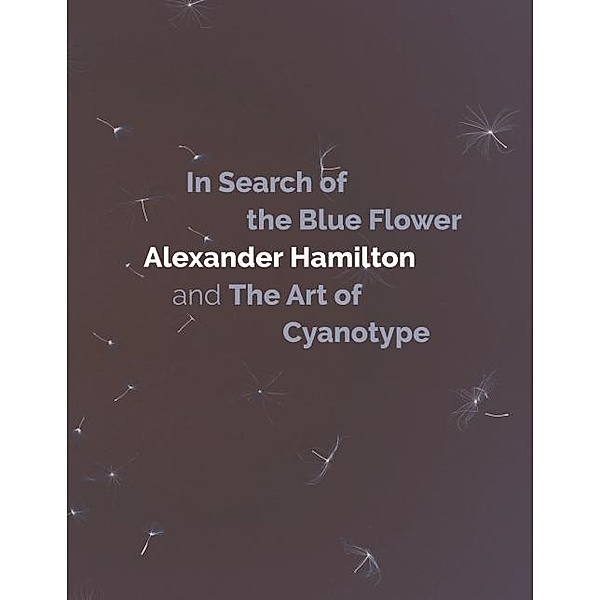 In Search of the Blue Flower, Alexander Hamilton