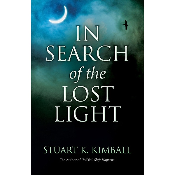 In Search of the Lost Light, Stuart K. Kimball