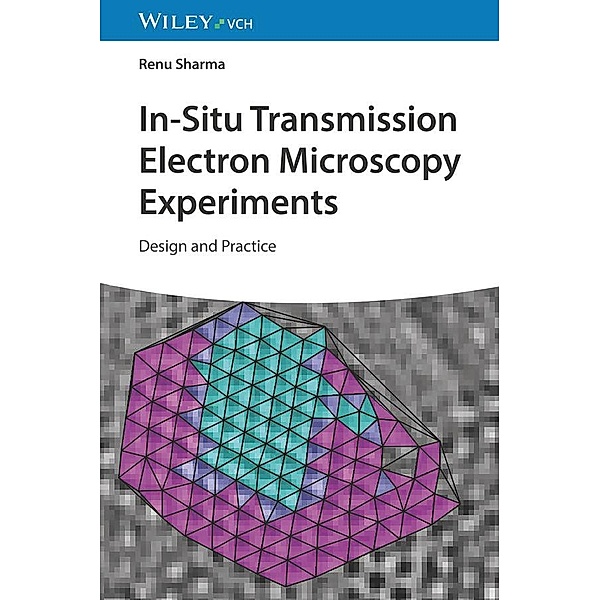 In-Situ Transmission Electron Microscopy Experiments, Renu Sharma