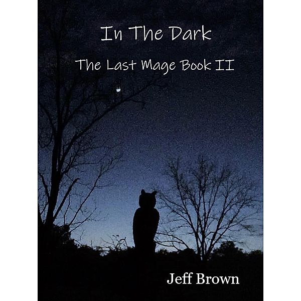 In The Dark: The Last Mage Book II / The Last Mage, Jeff Brown