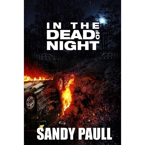 In The Dead Of Night (Never Back Down action suspense thriller, #1) / Never Back Down action suspense thriller, Sandy Paull