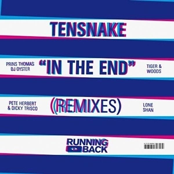 In The End (2x12''/Remixes), Tensnake