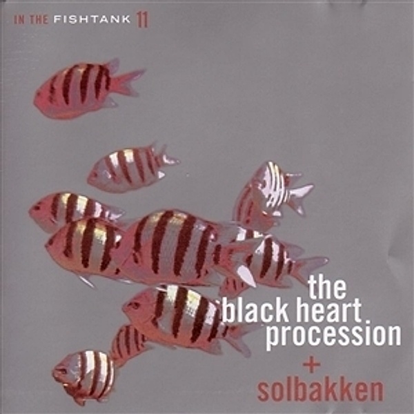 In The Fishtank 11, The+Solbakken Black Heart Procession