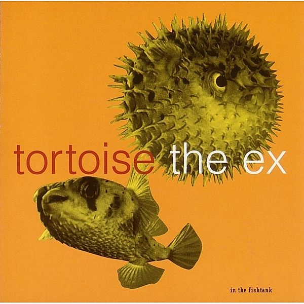 In The Fishtank 5, Tortoise+the Ex