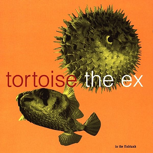 In The Fishtank 5, Tortoise+the Ex