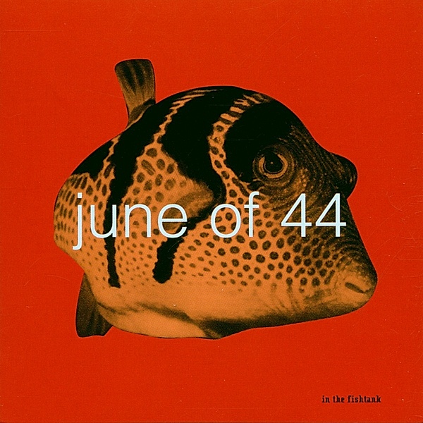 In The Fishtank 6, June Of 44