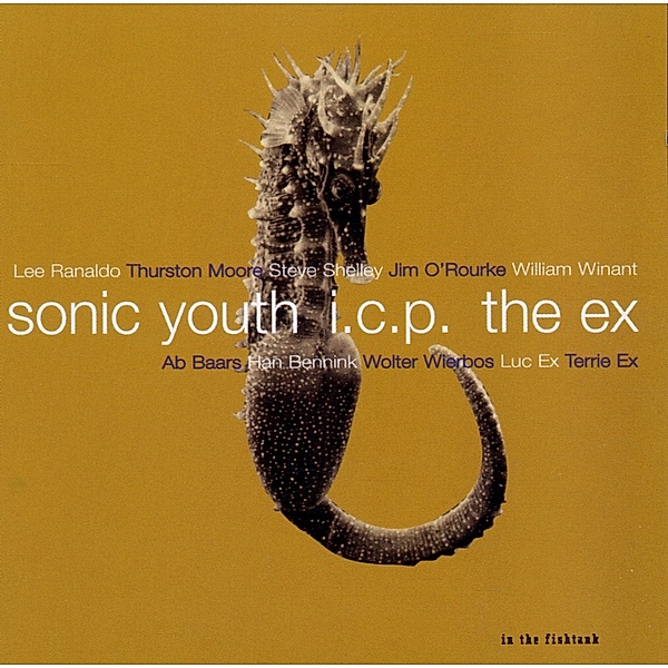 In The Fishtank 9, Sonic Youth+Icp+The Ex