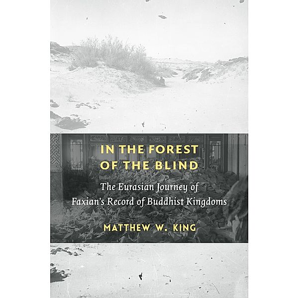 In the Forest of the Blind, Matthew W. King