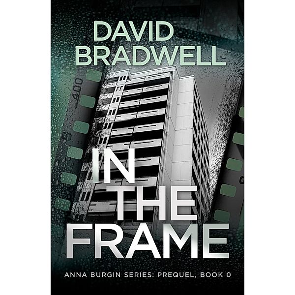 In The Frame: Series Prequel Mystery Novella (Anna Burgin, #0) / Anna Burgin, David Bradwell