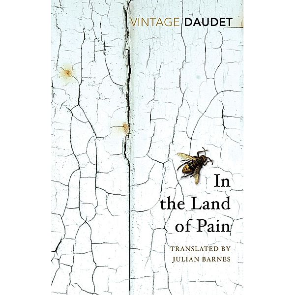 In the Land of Pain, Alphonse Daudet
