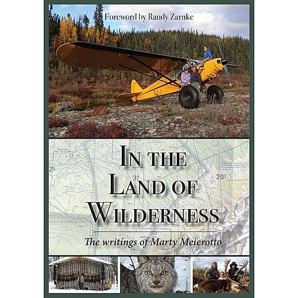 In the Land of Wilderness, Marty Meierotto