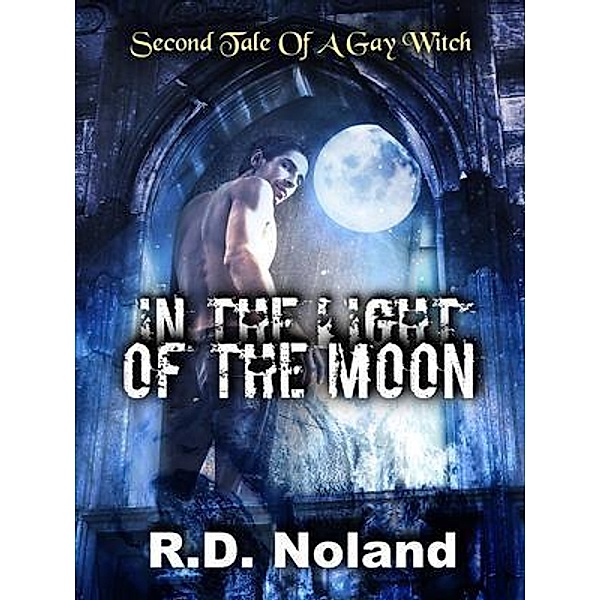 In the light of the moon / Tales Of A Gay Witch book Bd.two, R. D. Noland
