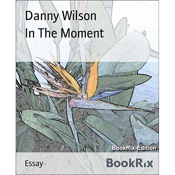 In The Moment, Danny Wilson