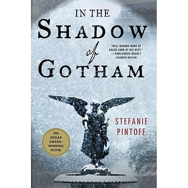 In the Shadow of Gotham / Detective Simon Ziele Bd.1, Stefanie Pintoff