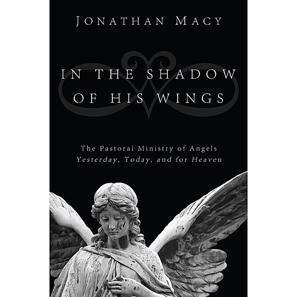 In the Shadow of His Wings, Jonathan Macy