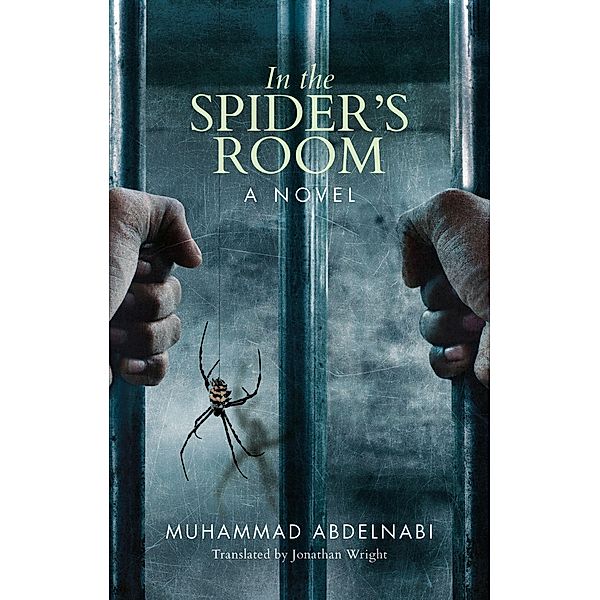 In the Spider's Room, Muhammad Abdelnabi