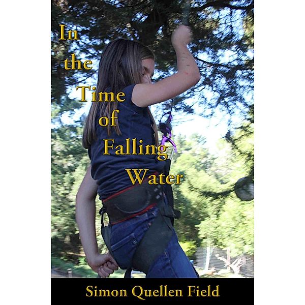 In the Time of Falling Water, Simon Quellen Field